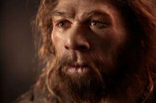 Grand mystère de la science, la fin de Neandertal expliquée par des chercheurs