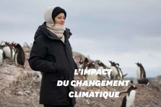 Marion Cotillard en Antarctique avec Greenpeace