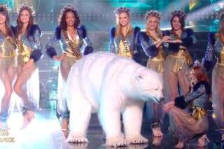 Miss France 2020: Le déhanché de l'ours blanc amuse tout le monde
