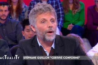 Stéphane Guillon voit une initiative 