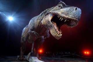 Combien étaient les tyrannosaures quand ils dominaient la Terre?