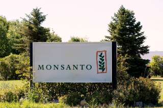 Après les soupçons de fichage par Monsanto, une enquête judiciaire ouverte