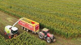 Des chercheurs accusent ce mardi 7 mai le gouvernement d’« immobilisme » sur son plan de réduction des pesticides.