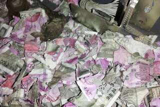 En Inde, des rats grignotent plus d'un million de roupies dans un distributeur de billets