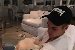 Justin Bieber abandonne son quatrième animal, son chien Todd