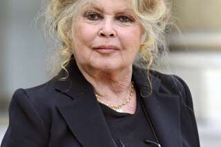 Brigitte Bardot condamnée pour injure à l'encontre du patron des chasseurs