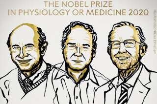 Le prix Nobel de médecine 2020 récompense la découverte du virus de l'hépatite C