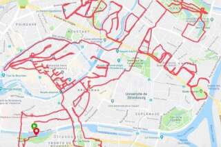 GPS drawing: un Strasbourgeois a couru 51km pour dessiner cette cigogne