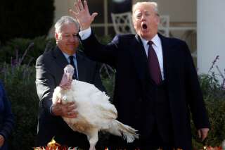 Cette photo de Donald Trump et de la dinde de Thanksgiving vaut le détour(nement)