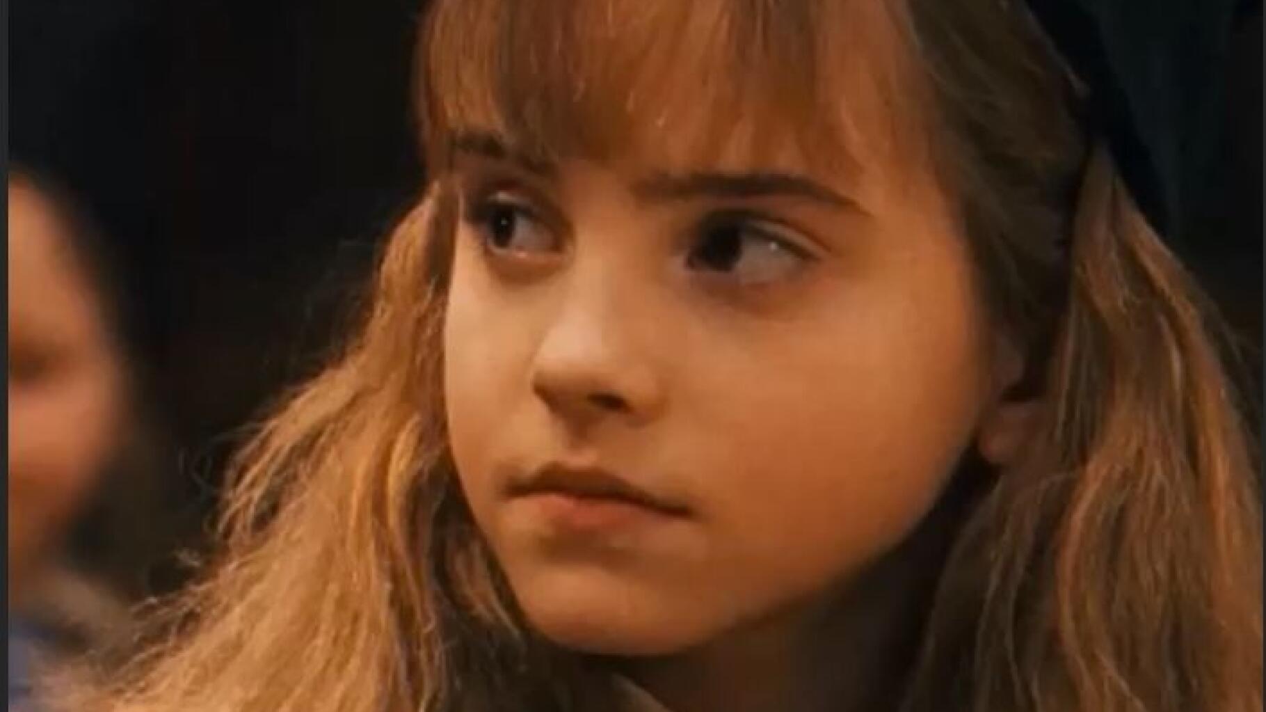 Vingt ans après le 1er tome d'Harry Potter, Hermione Granger est