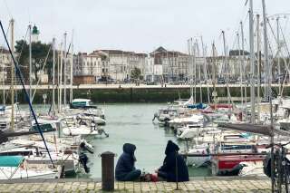 À La Rochelle, un morse perdu fait une sieste dans le port de pêche