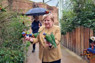 Cette photo d’Angela Merkel avec des perroquets vaut le détour(nement)