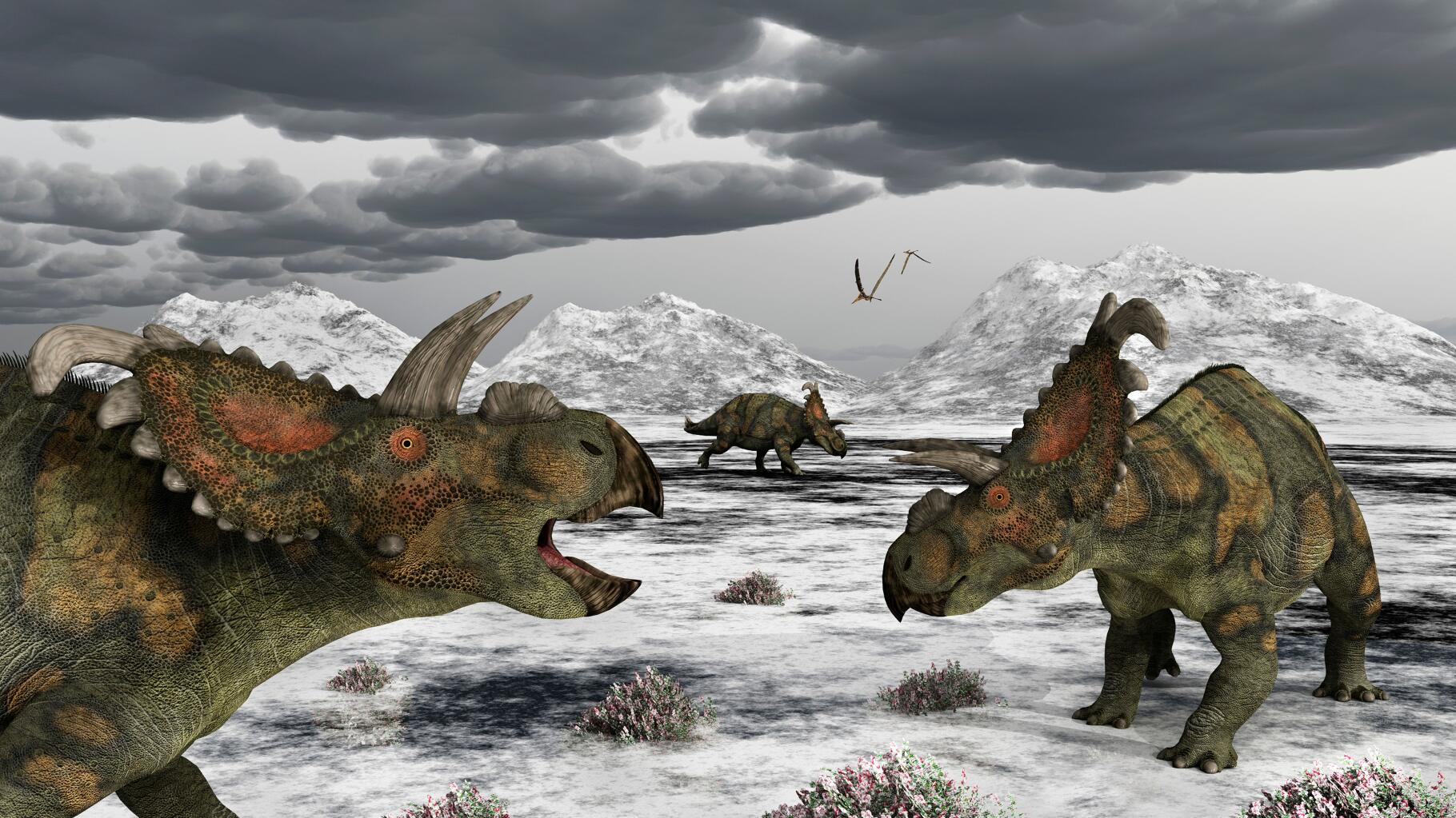 Des dinosaures ont réussi à vivre en Arctique en dépit du climat local