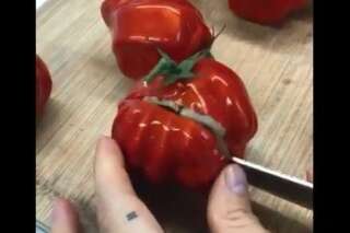Les tomates, très peu pour vous? Celles de Cédric Grolet vont vous faire changer d'avis