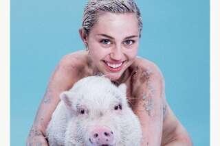 Miley Cyrus et Liam Hemsworth: 16 animaux à se partager, comment ça marche?