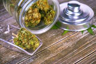 Ce que la légalisation thérapeutique du cannabis peut permettre
