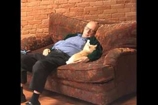 La touchante histoire de cet homme de 75 ans, bénévole involontaire d'un refuge pour chats