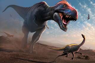 Même adolescents, les T-Rex évinçaient les espèces de dinosaures plus petites