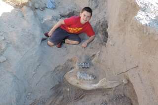 Cet enfant a découvert un fossile de stegomastodon né 1.199.991 ans avant lui