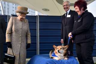 Elizabeth II adopte deux corgis réputés pour leur loyauté