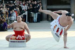 Japon cherche sumo désespérément