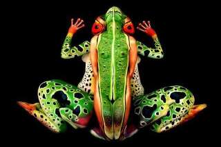 PHOTOS. Body-painting : des mannequins se transforment en grenouille tropicale