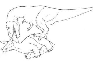 PHOTOS. Comment les tyrannosaures mangeaient-ils les tricératops en quatre étapes