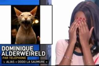 VIDÉO. Problème technique sur Canal Plus: la photo de Dodo la Saumure remplacée par celle d'un chat