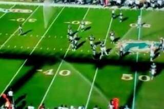 VIDÉO. NFL: l'arrosage automatique se met en route pendant le match Miami Dolphins-Seattle Seahawks