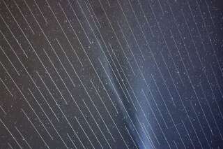 La comète Neowise éclipsée par les satellites Starlink d'Elon Musk