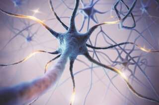 Des chercheurs ont découvert comment se comportent les neurones pendant le sommeil