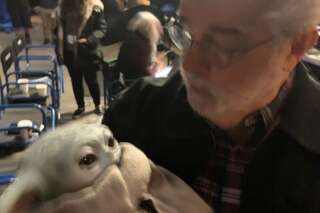 Cette photo de George Lucas avec Baby Yoda affole les internautes
