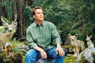 Cette photo d'Arnold Schwarzenegger vaut le détour(nement)