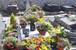 La tombe de Romy Schneider profanée dans les Yvelines