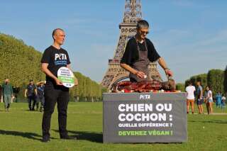L'action pro-vegan choc de la Peta devant la tour Eiffel