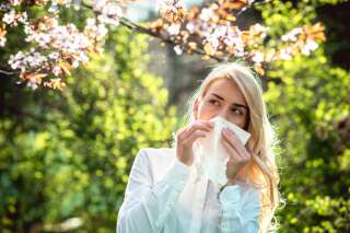 Les allergies au pollen d'ambroisie, cauchemar de la fin de l'été : le point sur les remèdes naturels
