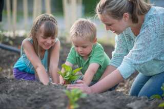 5 conseils pour apprendre à vos enfants à jardiner