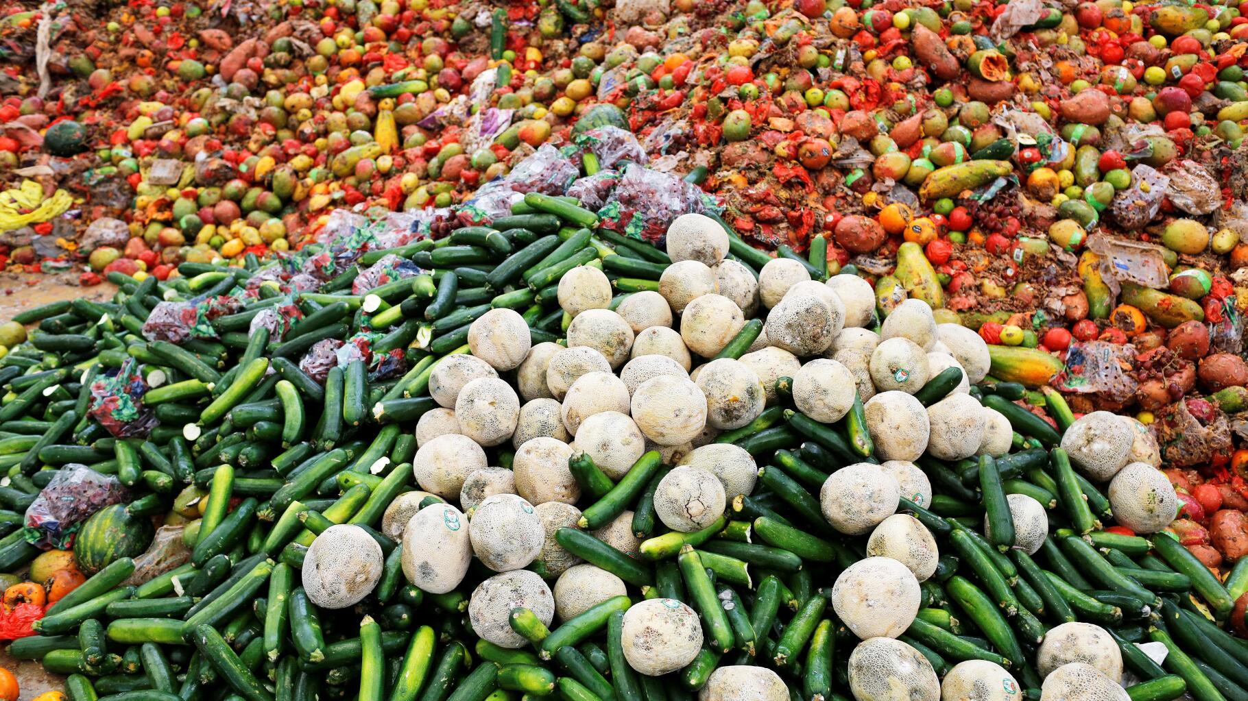 51 millions de tonnes de légumes frais produits en Europe