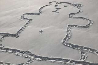 On sait comment le nombril de cet ours dessiné dans la neige a été tracé
