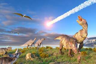 Les dinosaures ont disparu à cause d'une comète et non d'un astéroïde, selon une étude