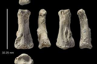 Ce doigt vieux de 85.000 ans permet de mieux comprendre l'expansion d'Homo sapiens dans le monde