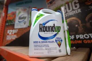 Les dommages et intérêts dus par Monsanto dans le procès du Roundup très largement réduits
