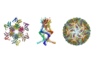 VIH, Zika, Alzheimer... comment la découverte des prix Nobel de chimie a révolutionné la biologie