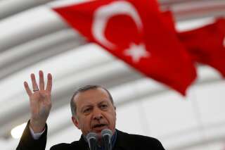 À l'épicentre de la crise avec la Turquie, ce projet pour renforcer drastiquement les pouvoirs du président Erdogan