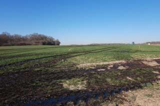 Dans les Yvelines, une fuite d'hydrocarbures touche plusieurs hectares