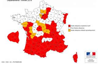 Le moustique tigre présent dans 51 départements en France