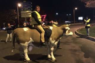 Le maire de Saint-Étienne-du-Rouvray porte plainte après la dégradation de vaches à un rond-point
