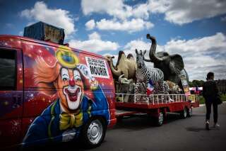 Les cirques avec des animaux sauvages interdits à Paris dès 2020