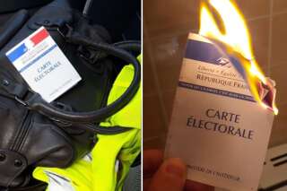 Élections européennes : les gilets jaunes affichent leur carte d'électeur brûlée ou tamponnée