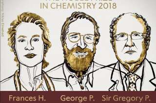 Le prix Nobel de chimie 2018 décerné à Frances Arnold, George Smith et Gregory Winter pour leurs travaux sur le contrôle de l'évolution